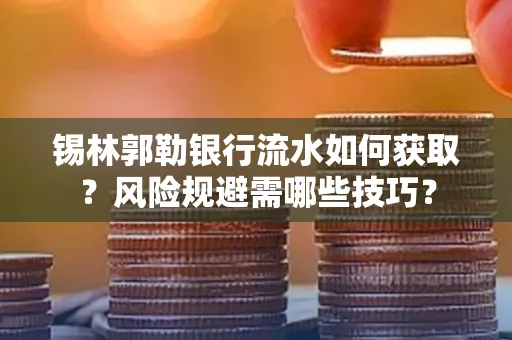 锡林郭勒银行流水如何获取？风险规避需哪些技巧？