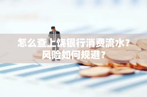 怎么查上饶银行消费流水?风险如何规避?