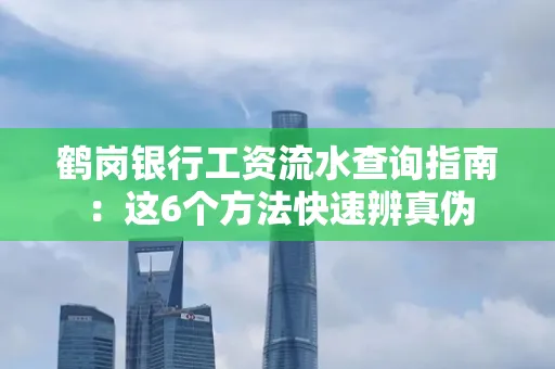 鹤岗银行工资流水查询指南:这6个方法快速辨真伪