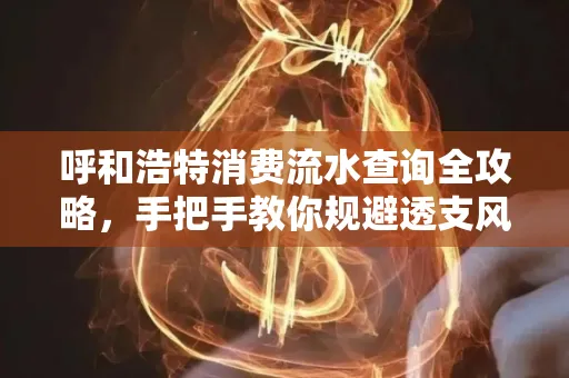 呼和浩特消费流水查询全攻略,手把手教你规避透支风险