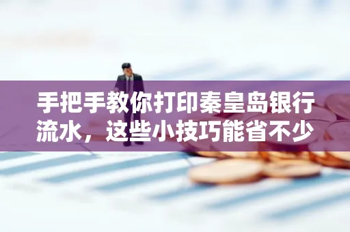 手把手教你打印秦皇岛银行流水,这些小技巧能省不少事