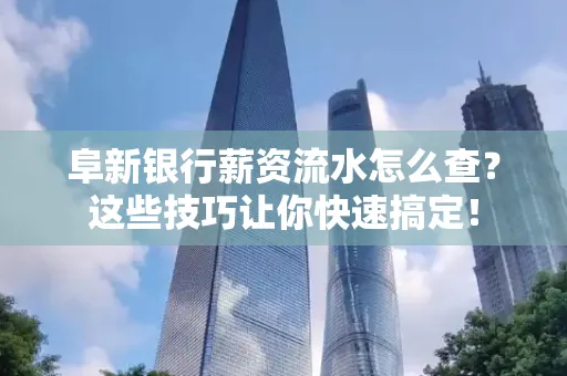 阜新银行薪资流水怎么查?这些技巧让你快速搞定!