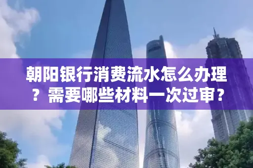 朝阳银行消费流水怎么办理?需要哪些材料一次过审?
