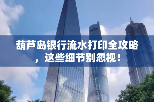 葫芦岛银行流水打印全攻略,这些细节别忽视!