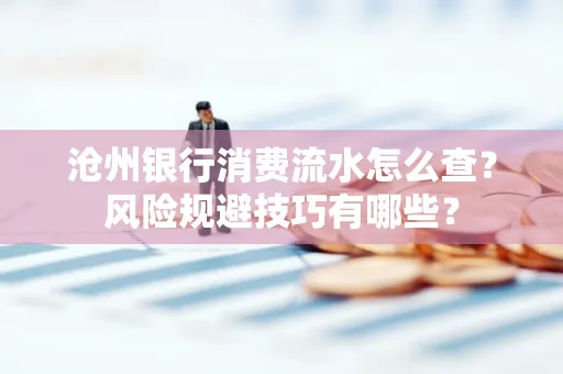 沧州银行消费流水怎么查?风险规避技巧有哪些?