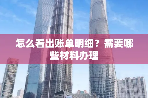 怎么看出账单明细?需要哪些材料办理
