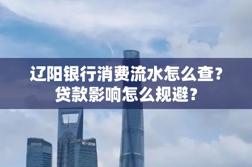 辽阳银行消费流水怎么查?贷款影响怎么规避?