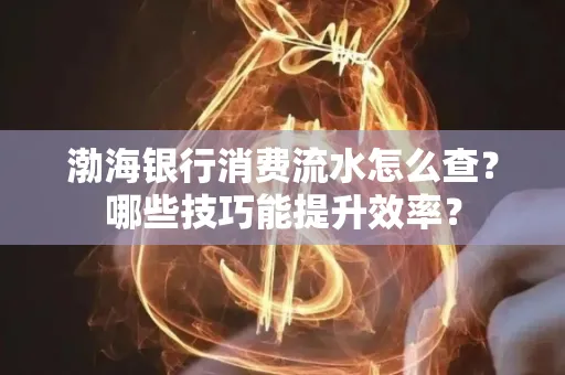 渤海银行消费流水怎么查?哪些技巧能提升效率?