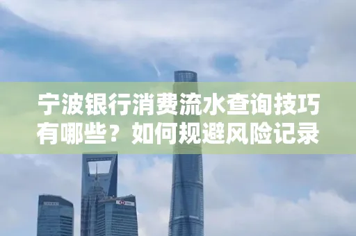 宁波银行消费流水查询技巧有哪些?如何规避风险记录?