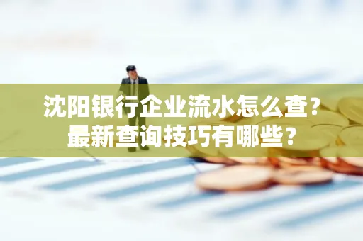 沈阳银行企业流水怎么查?最新查询技巧有哪些?