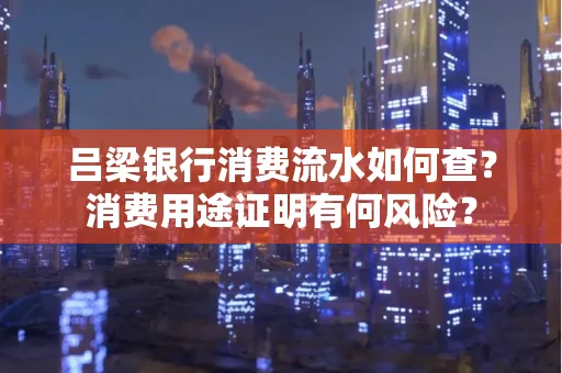 吕梁银行消费流水如何查?消费用途证明有何风险?
