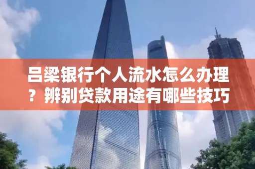 吕梁银行个人流水怎么办理?辨别贷款用途有哪些技巧?
