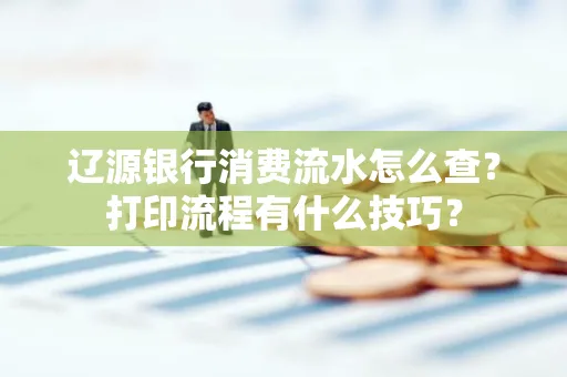 辽源银行消费流水怎么查?打印流程有什么技巧?