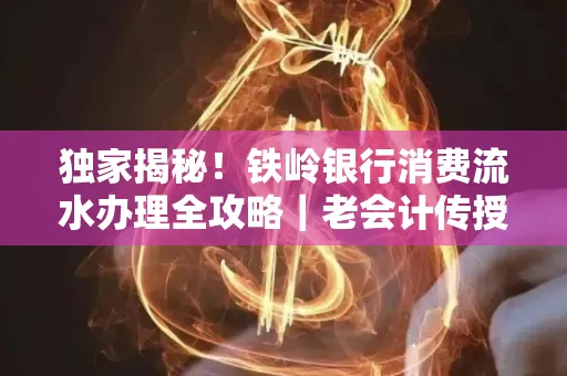 独家揭秘!铁岭银行消费流水办理全攻略|老会计传授防诈技巧