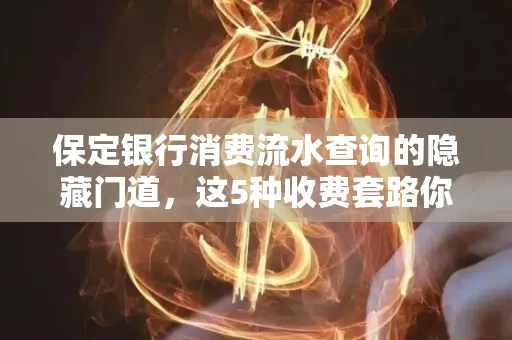 保定银行消费流水查询的隐藏门道,这5种收费套路你知道几个?