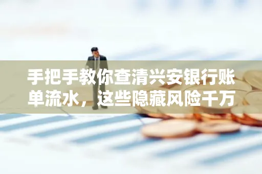 手把手教你查清兴安银行账单流水,这些隐藏风险千万注意!