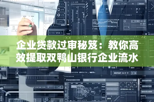 企业贷款过审秘笈:教你高效提取双鸭山银行企业流水
