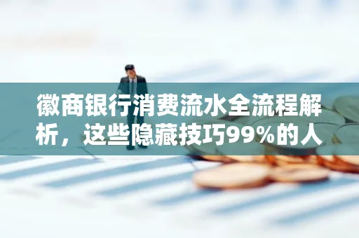 徽商银行消费流水全流程解析，这些隐藏技巧99%的人不知道