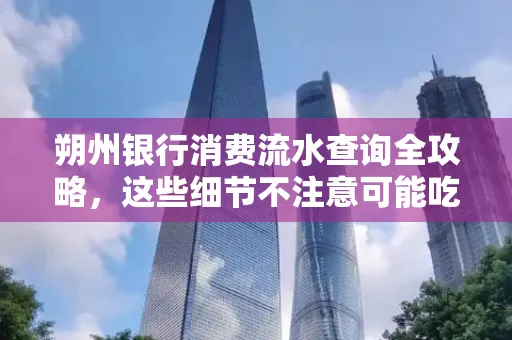 朔州银行消费流水查询全攻略,这些细节不注意可能吃大亏