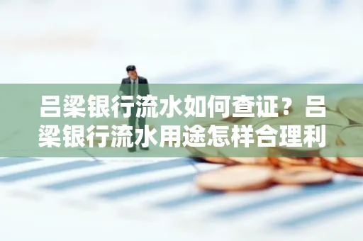 吕梁银行流水如何查证?吕梁银行流水用途怎样合理利用?