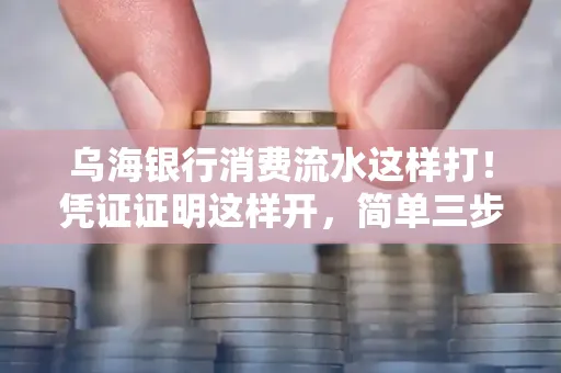 乌海银行消费流水这样打!凭证证明这样开,简单三步轻松搞定