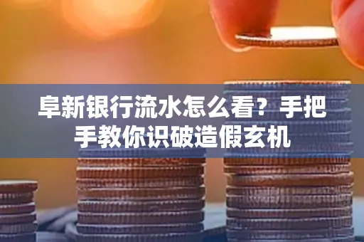 阜新银行流水怎么看?手把手教你识破造假玄机
