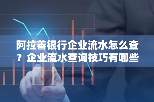 阿拉善银行企业流水怎么查?企业流水查询技巧有哪些?