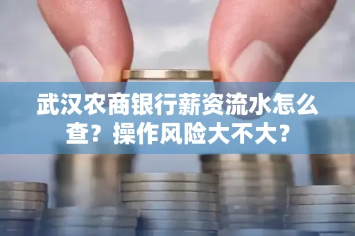 武汉农商银行薪资流水怎么查?操作风险大不大?