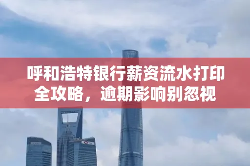 呼和浩特银行薪资流水打印全攻略,逾期影响别忽视